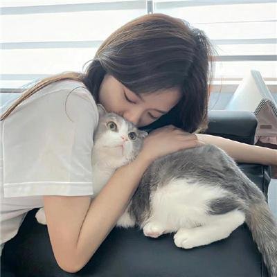 梦乡